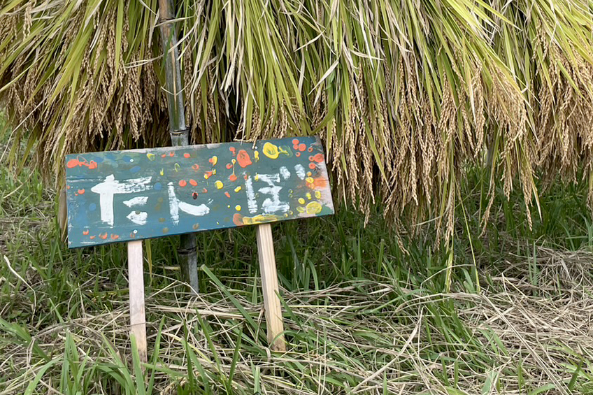 my田んぼ